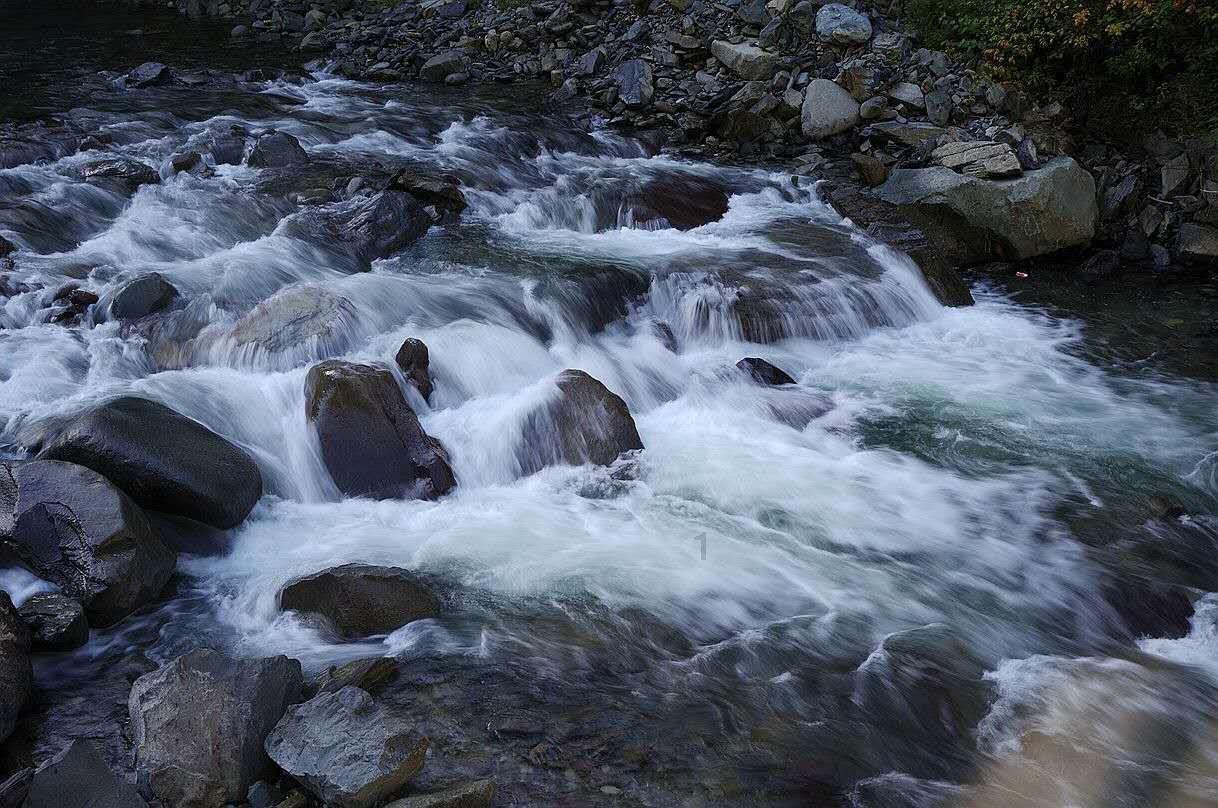 烤鱼在烤箱里烤需要烤多少分钟 - 机智问答,智慧解疑惑